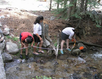 creek survey