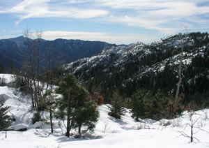 winter view