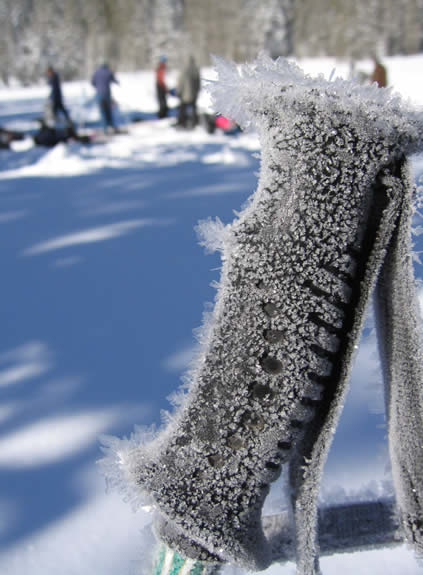 frosty ski pole
